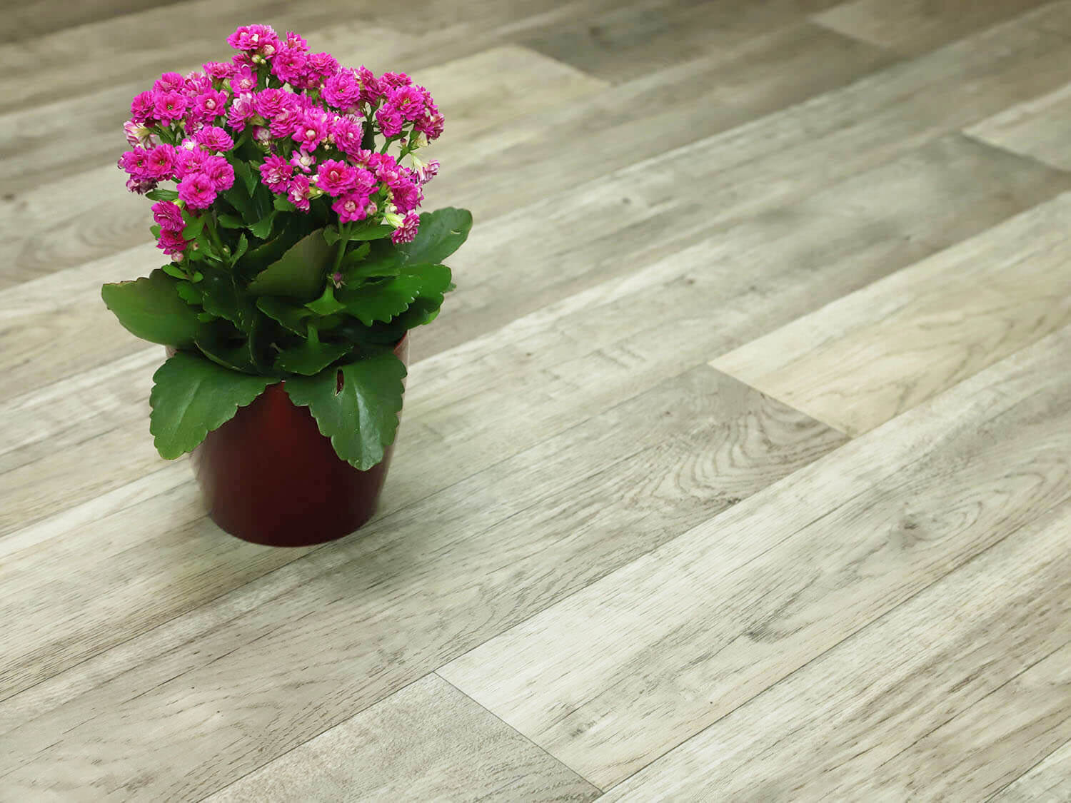 Centaur Chalet Oak 969M