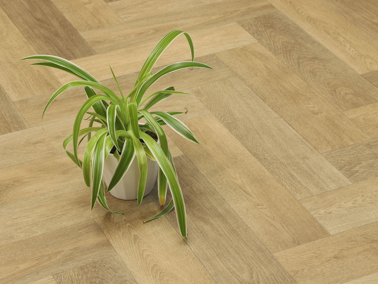 Velvetex Patagonia 558