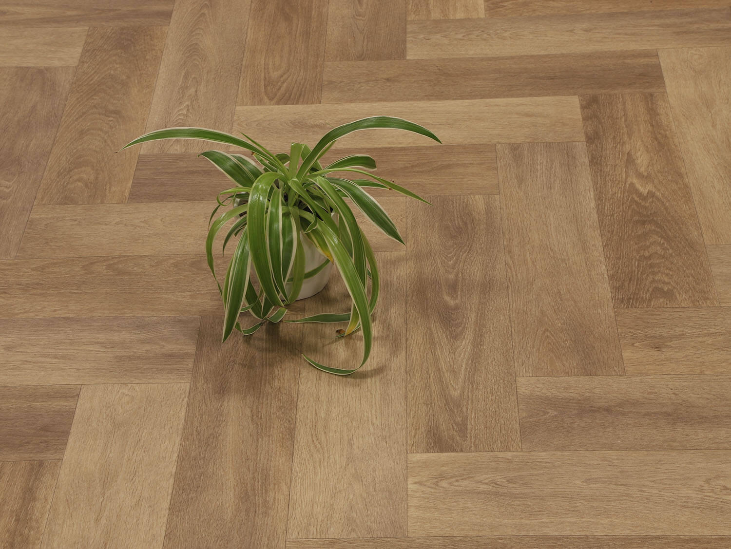 Textra Patagonia 556