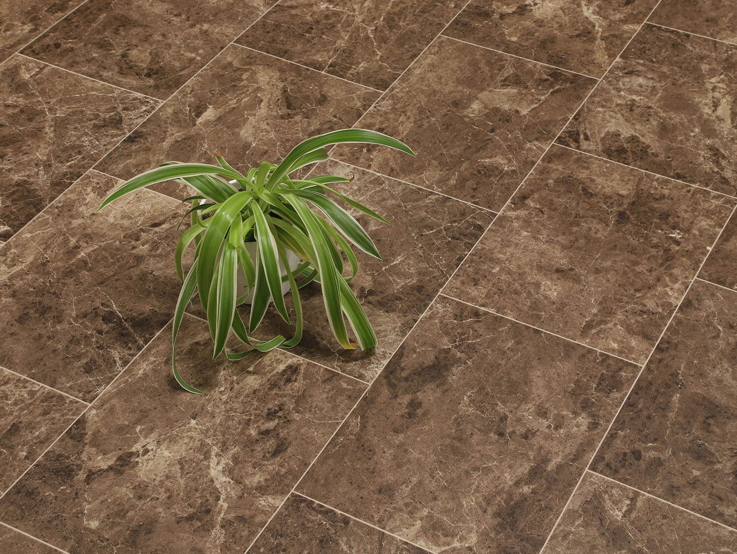 Comfytex Balmani 547