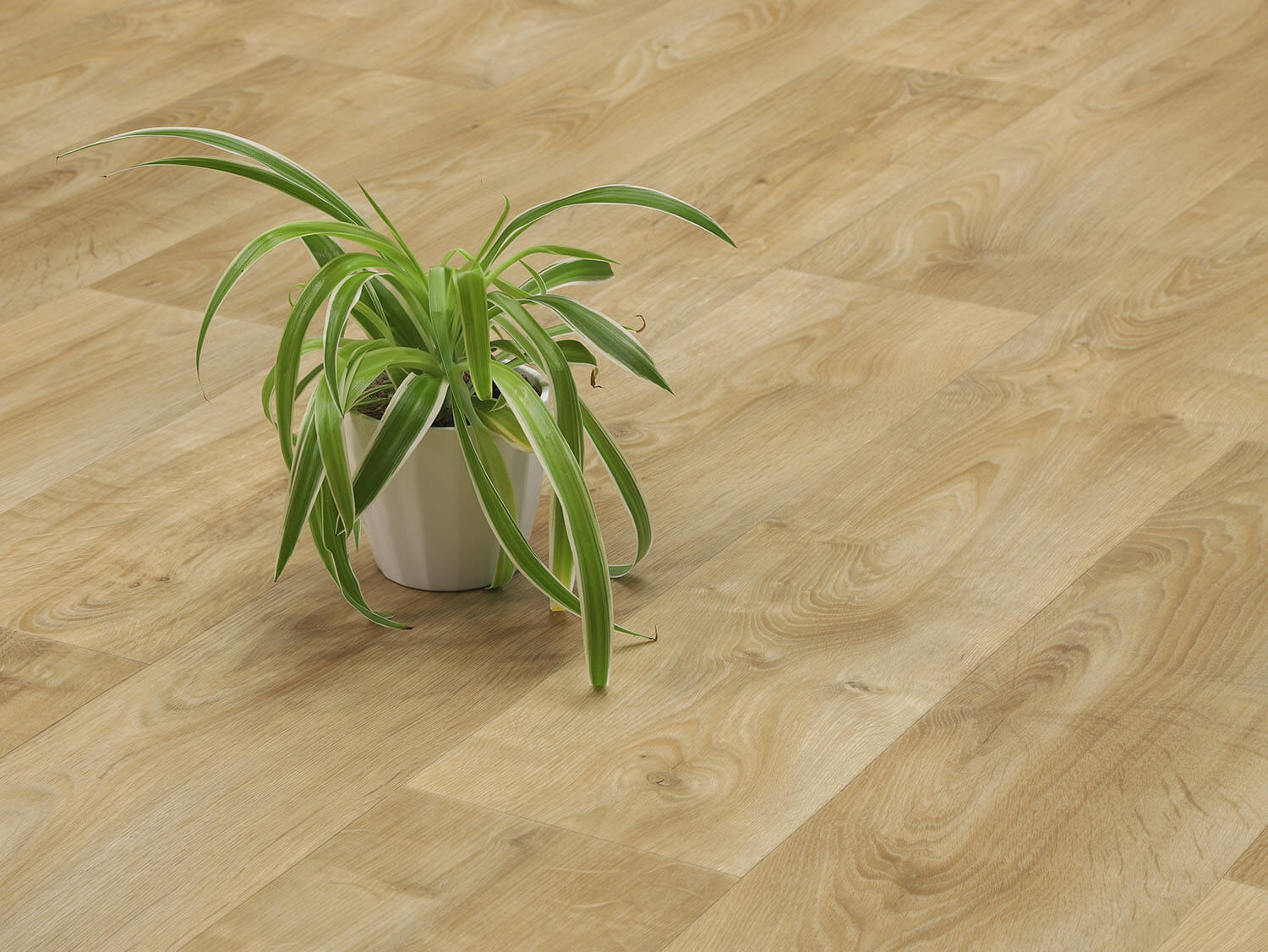 Centurion Calais T34