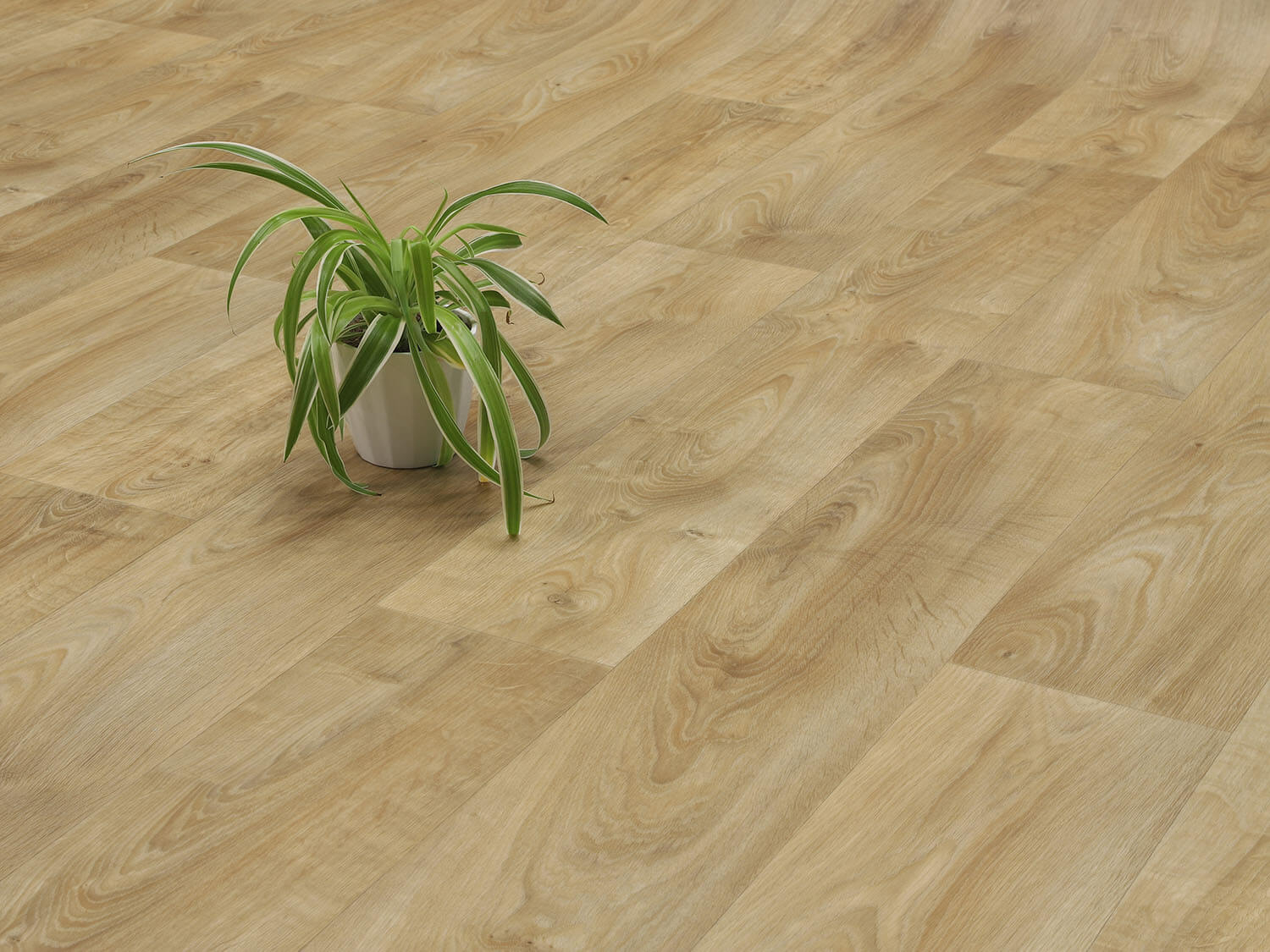 Centurion Calais T34