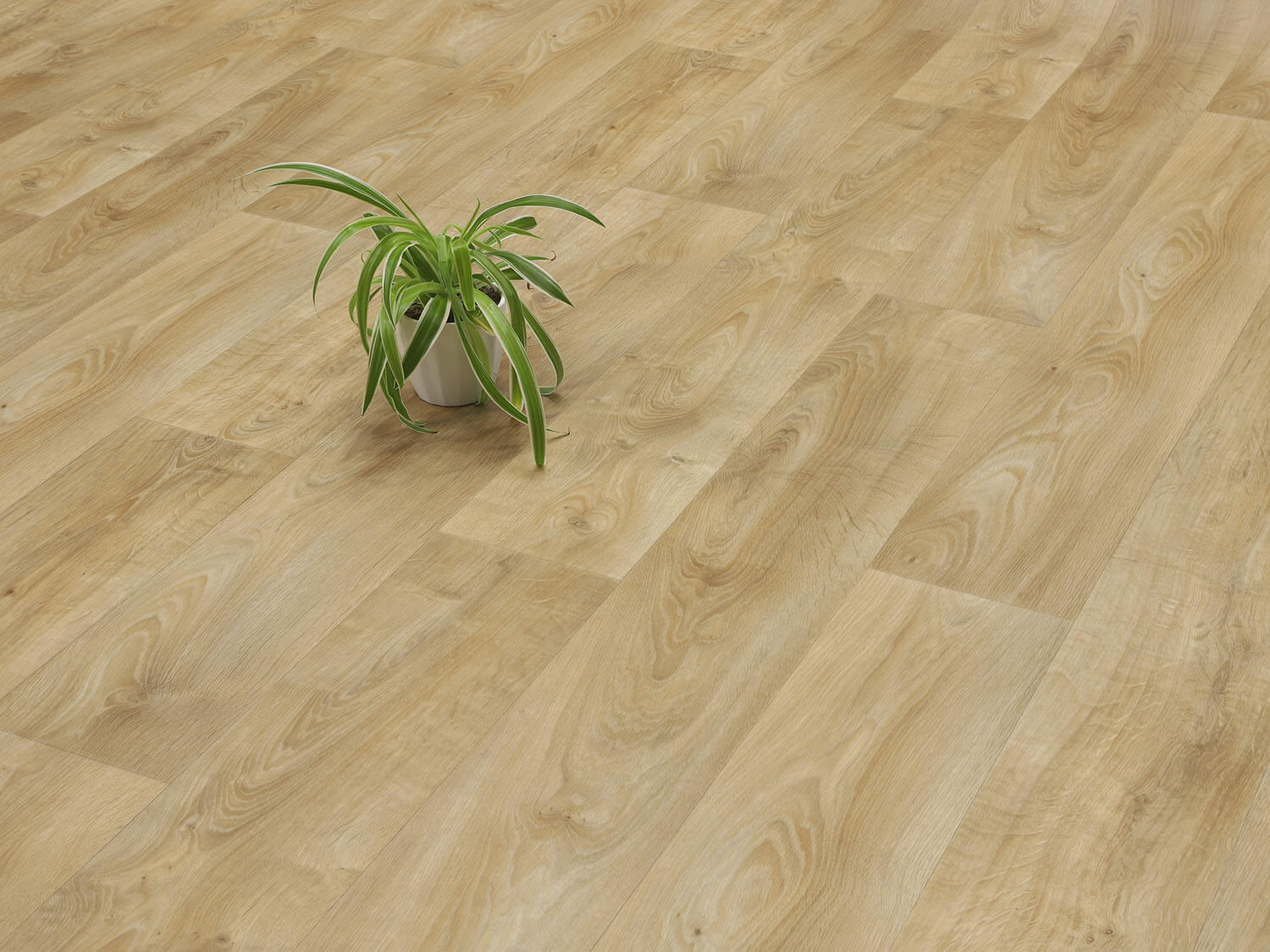 Centurion Calais T34