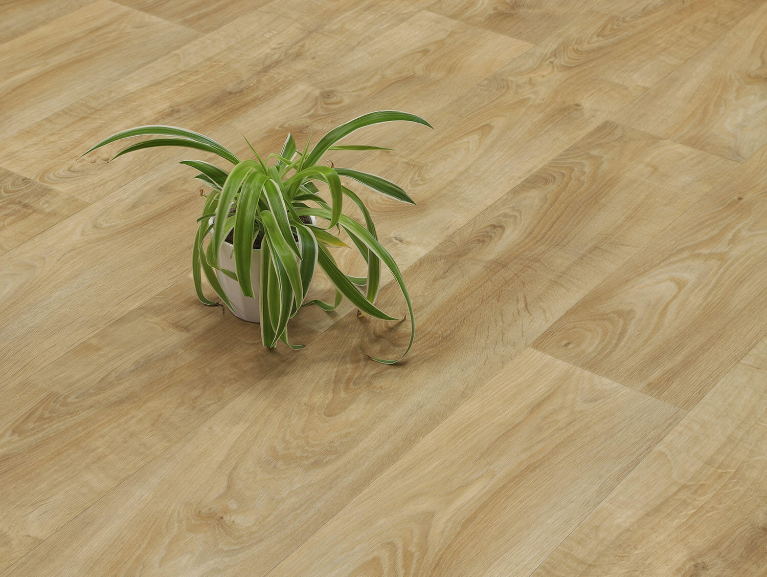 Centurion Calais T34