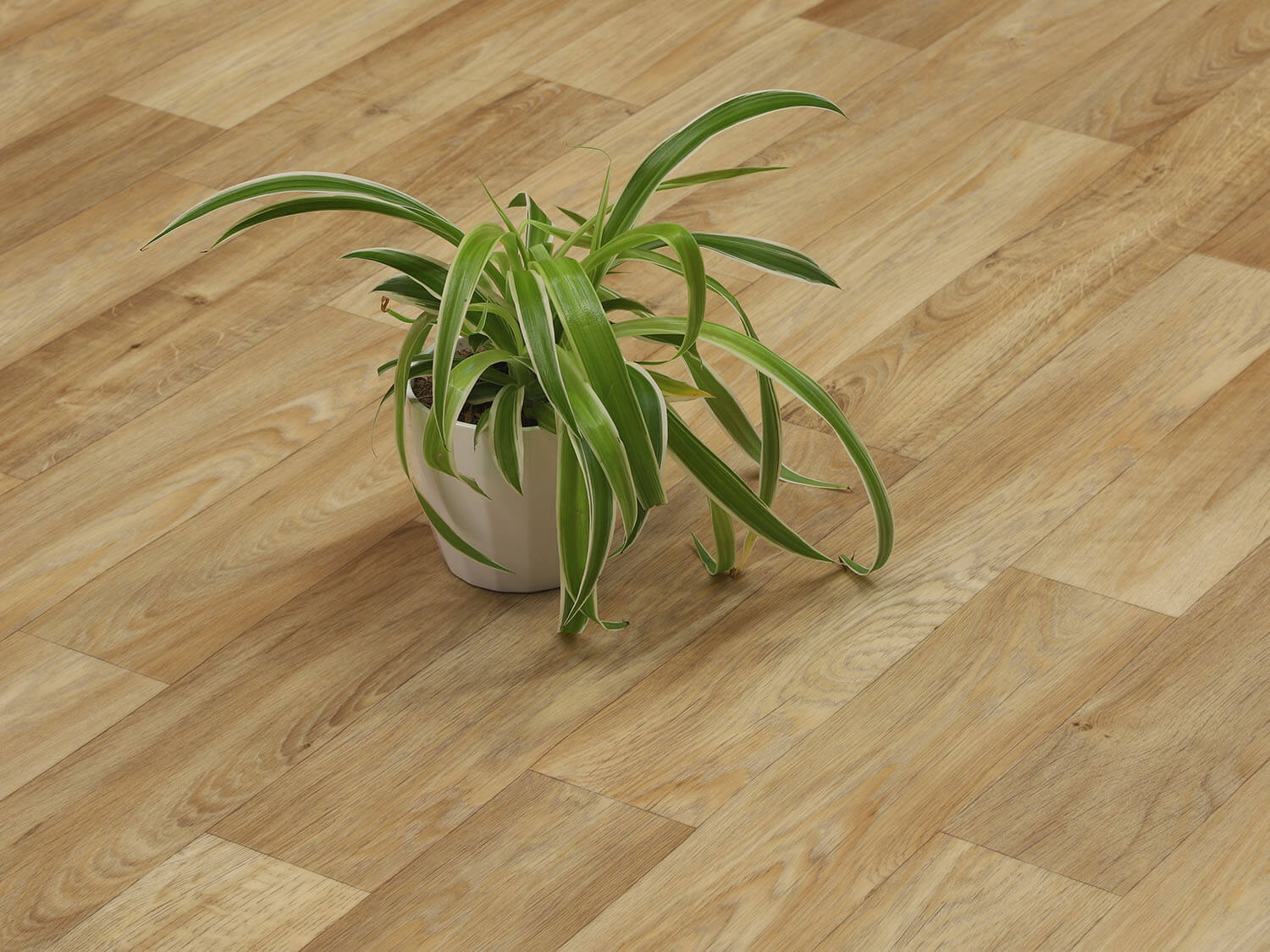 Centurion Camargue T10