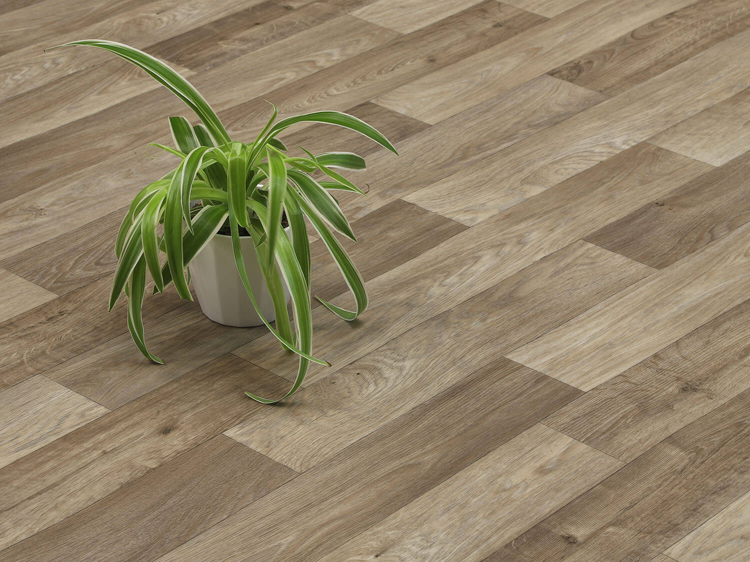 Centurion Camargue T93