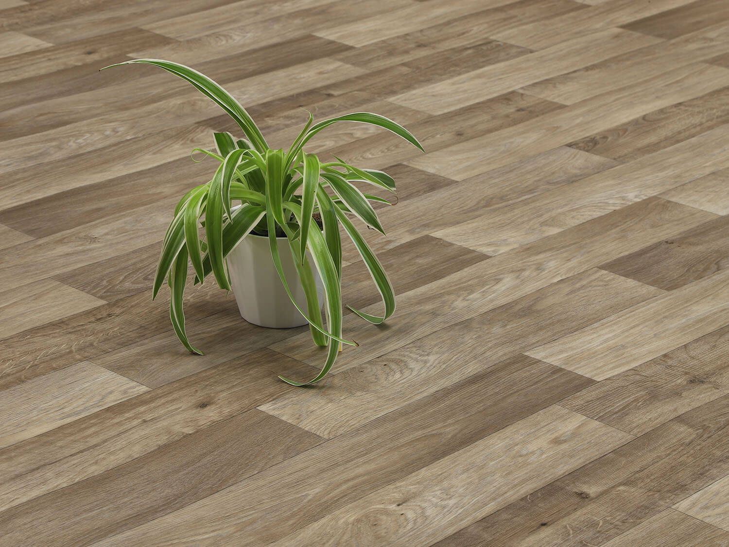 Centurion Camargue T93