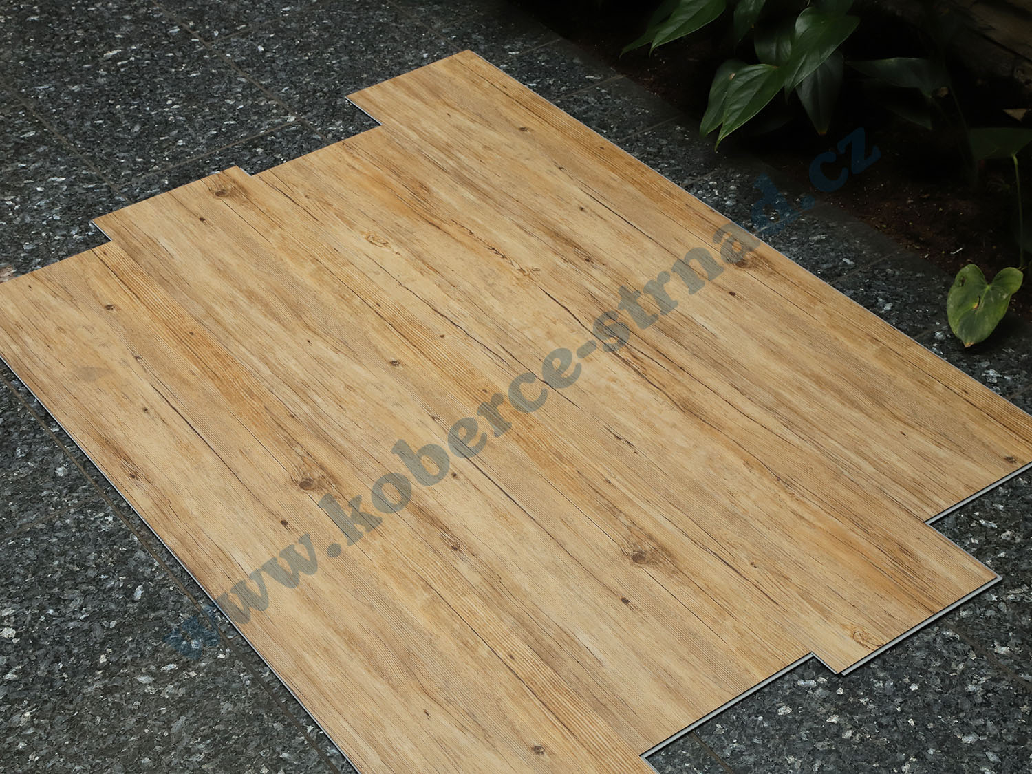 Well-click 40109-1 Buk rustikal