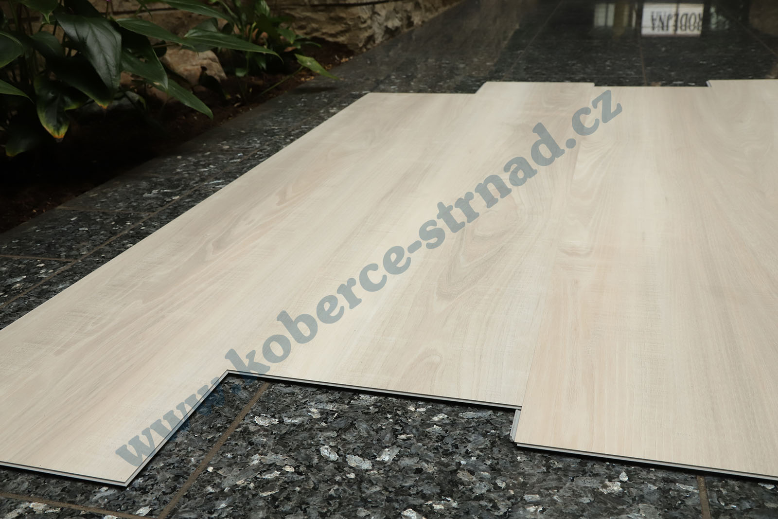 Well-click 40144-1 Topol bílý