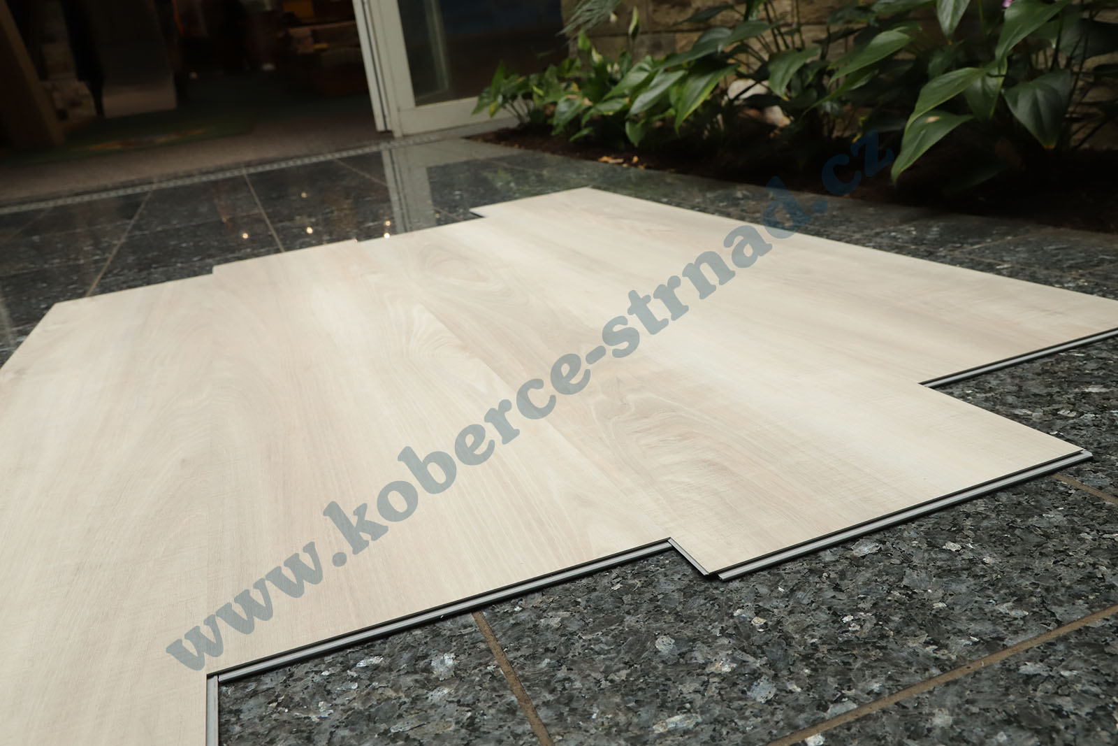 Well-click 40144-1 Topol bílý