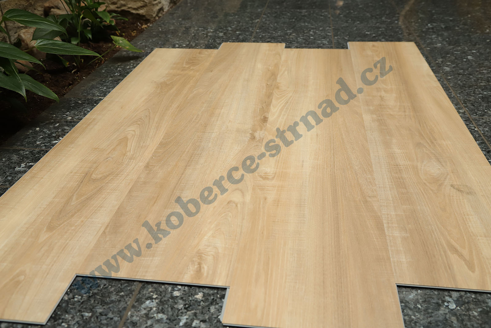 Well-click 40145-1 Topol kávový