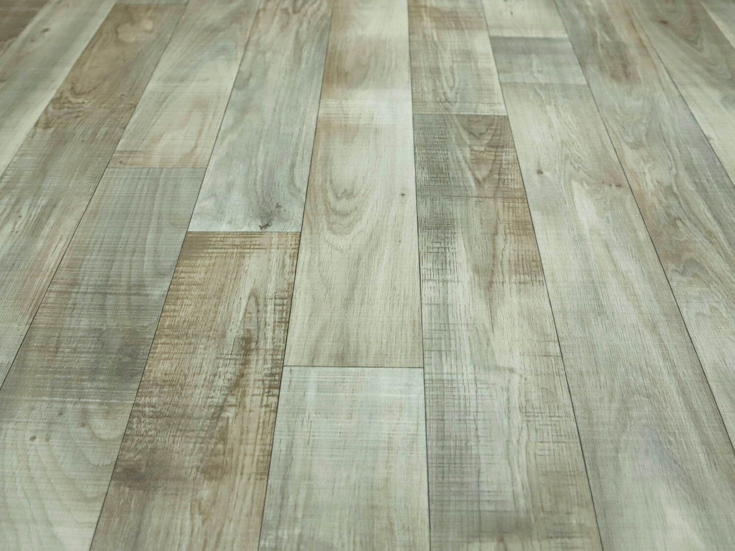 Sherwood Water Oak 676L