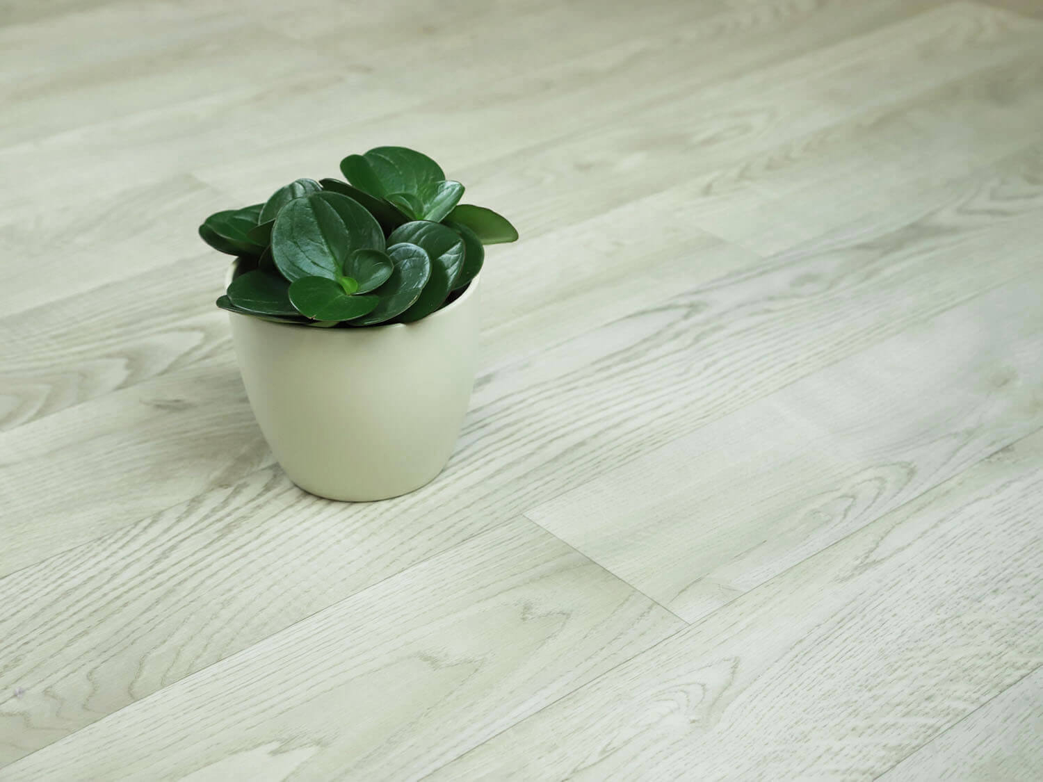 Sherwood White Oak 167S