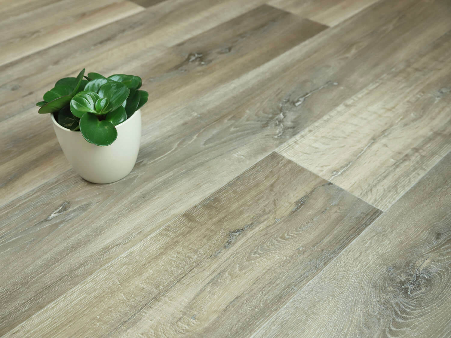 Sherwood Lime Oak 609M