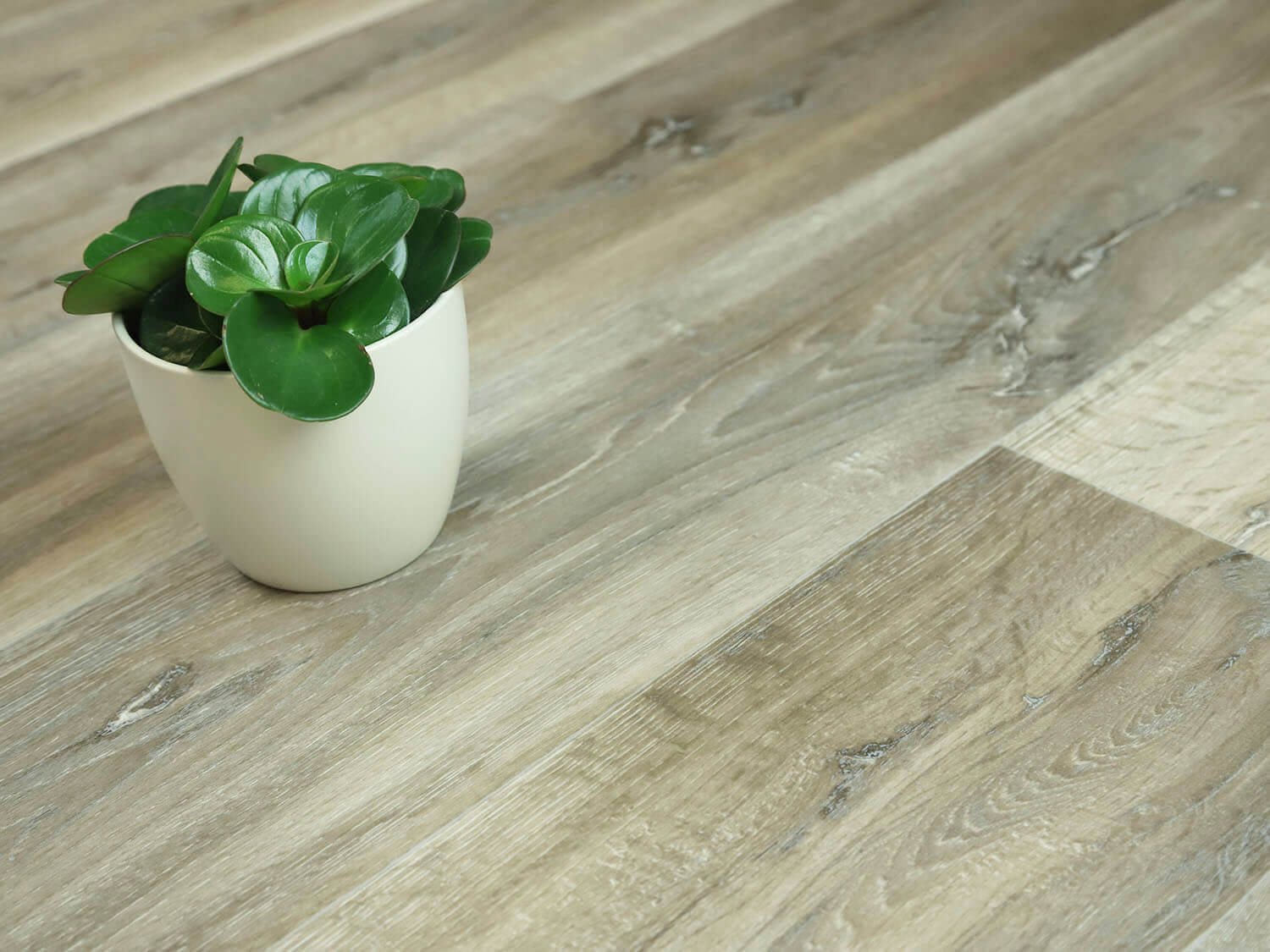 Sherwood Lime Oak 609M