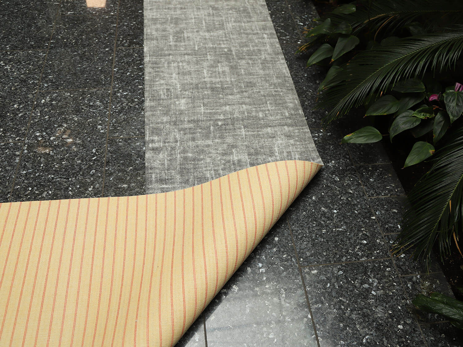 Ex-Interiors 089512611