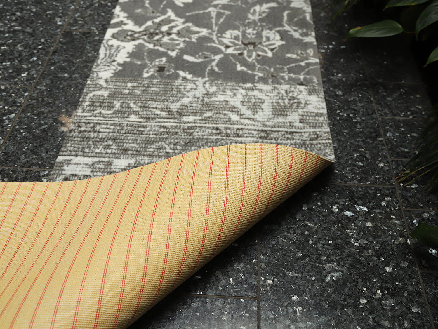 Ex-Interiors 089512642