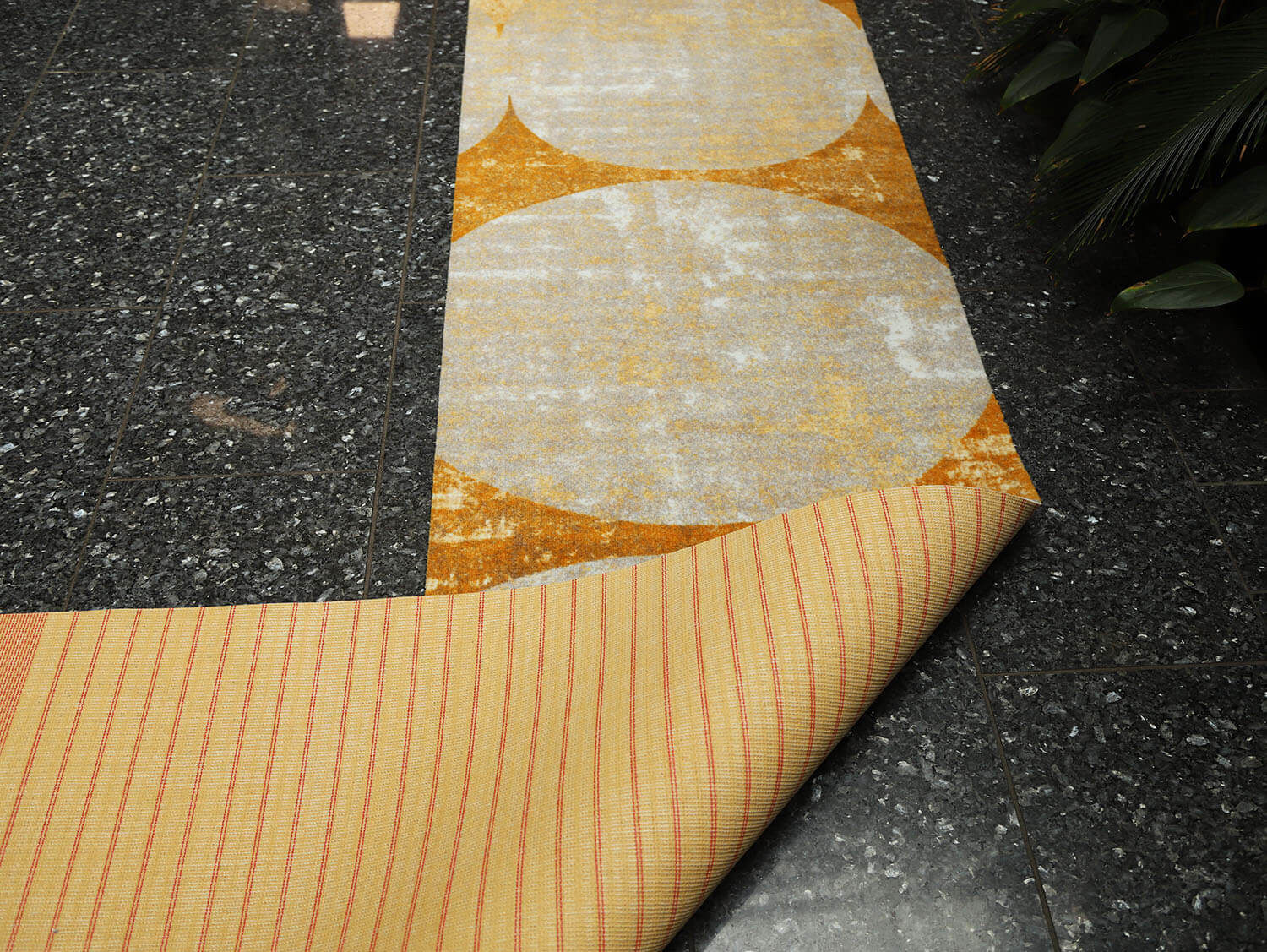 Ex-Interiors 356002206