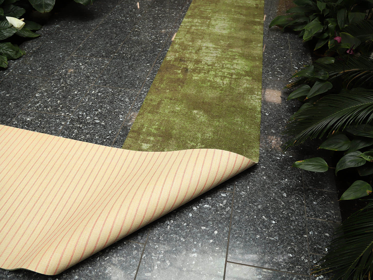 Ex-Interiors 357852203