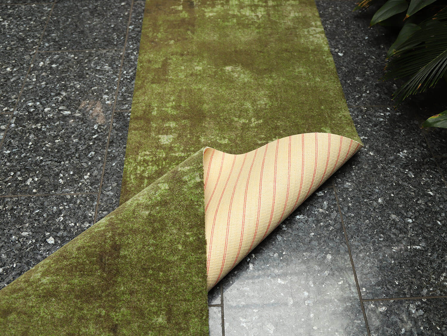 Ex-Interiors 357852203