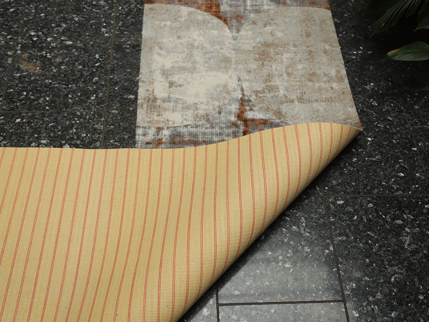 Ex-Interiors 352052205