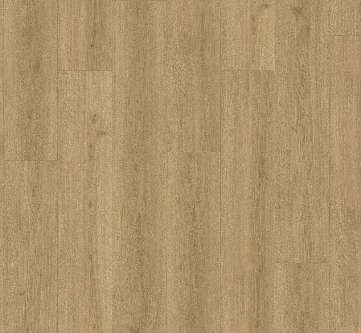 Classic 2025 Dub Regent přírodní 1748866