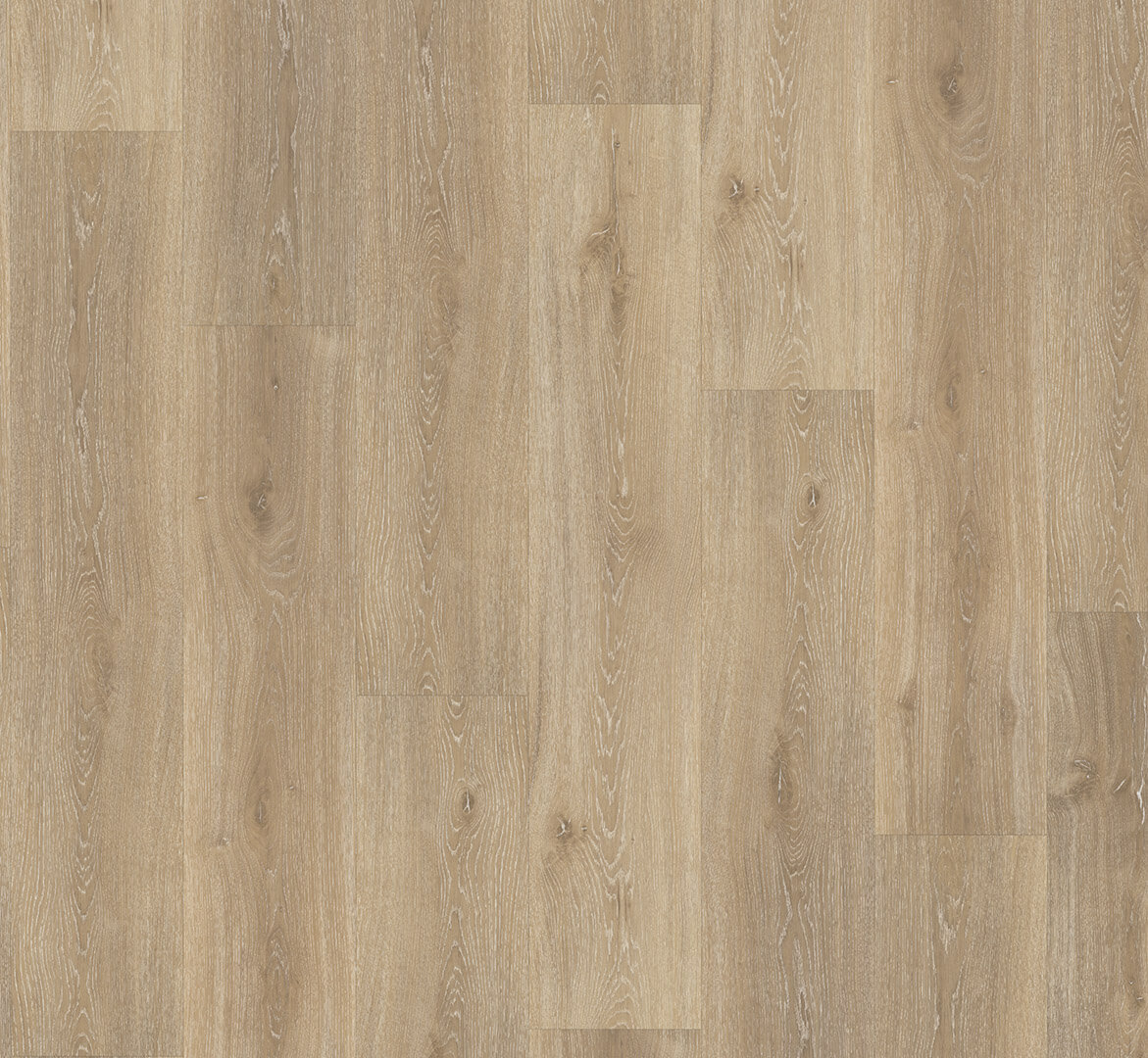 Classic 2025 Dub Royal světle bělený 1748870