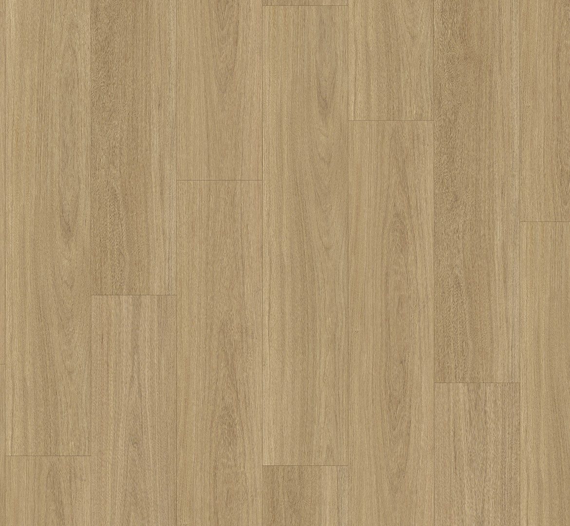 Basic 5.3 Dub Oxford přírodní 1748823