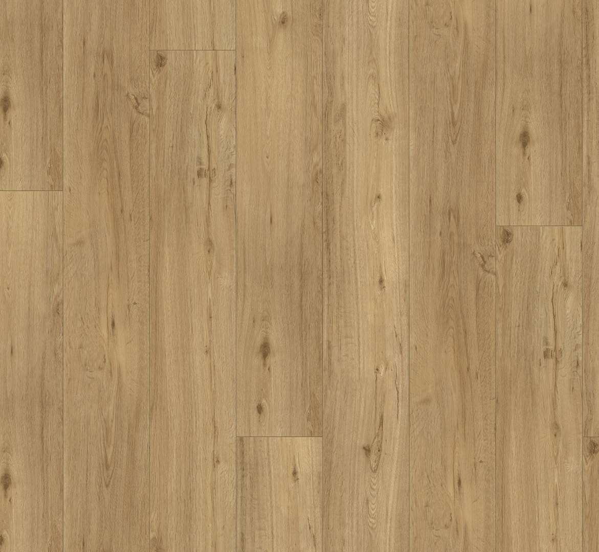 Trendtime 6 Dub přírodní 1744637