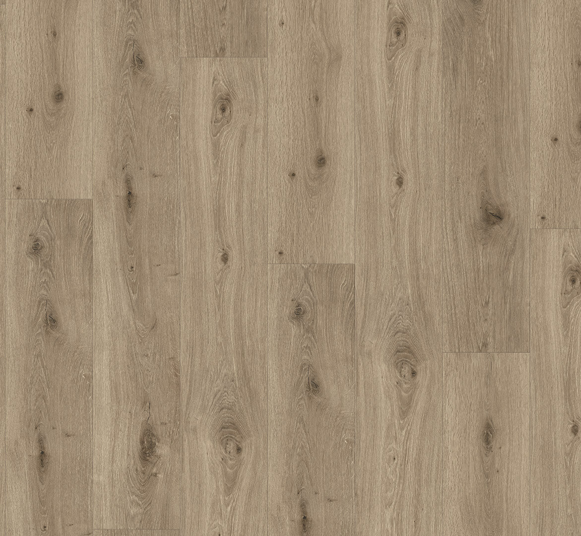 Trendtime 8 Dub Imperial macchiato 1744827