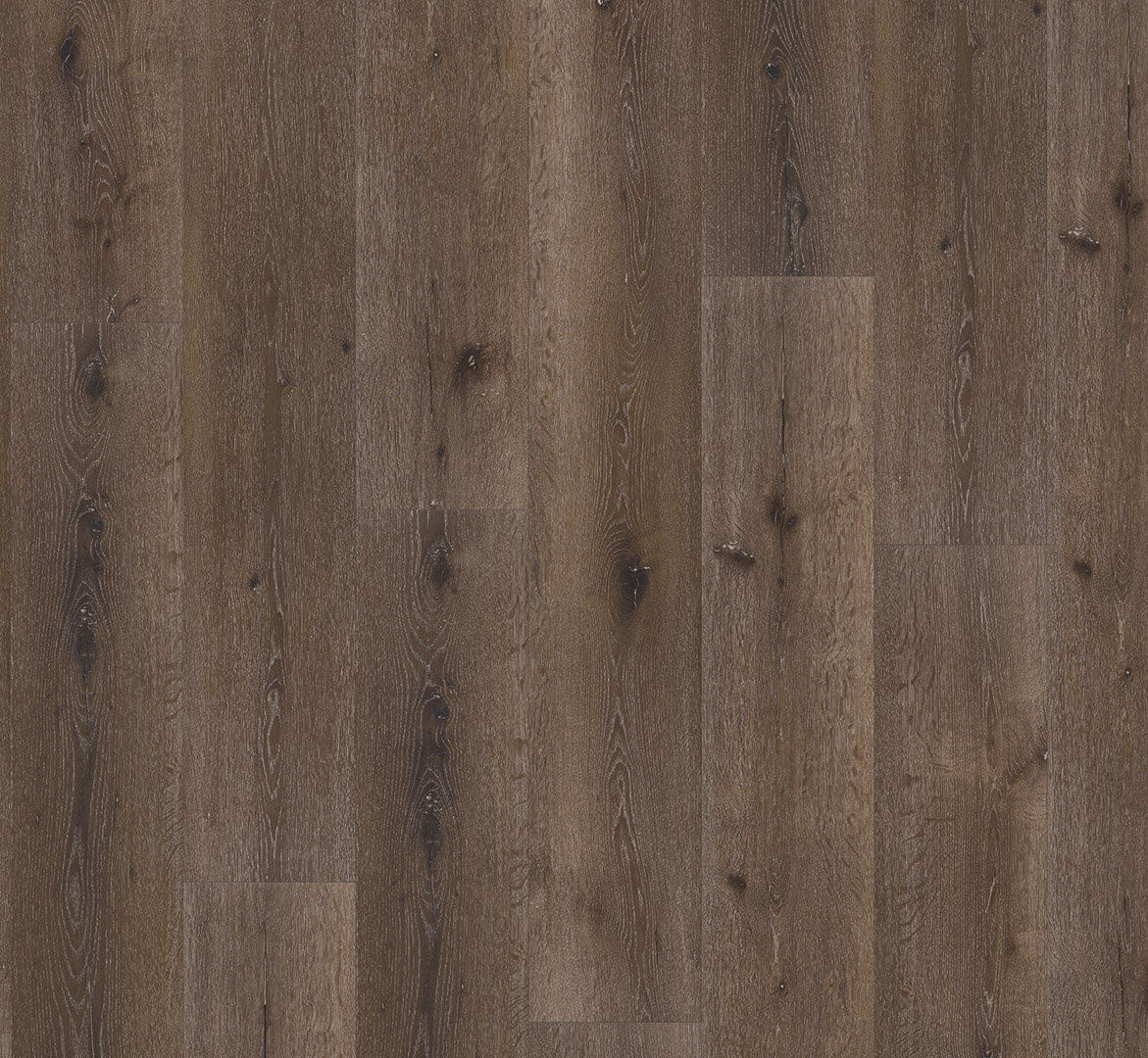 Trendtime 8 Dub Pacific antický 1744832