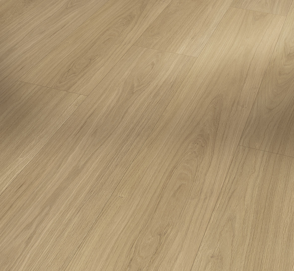 Trendtime 8 Dub Oxford přírodní 1748851