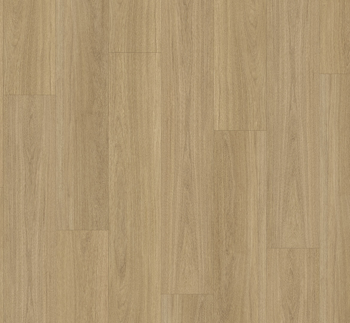 Trendtime 8 Dub Oxford přírodní 1748851