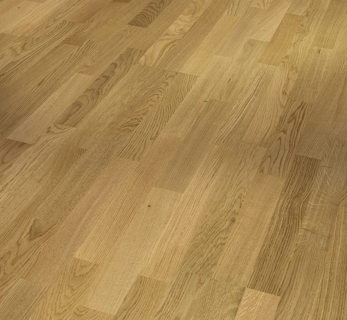 Basic 11-5 Dub 3p, natur, matný lak 1595131