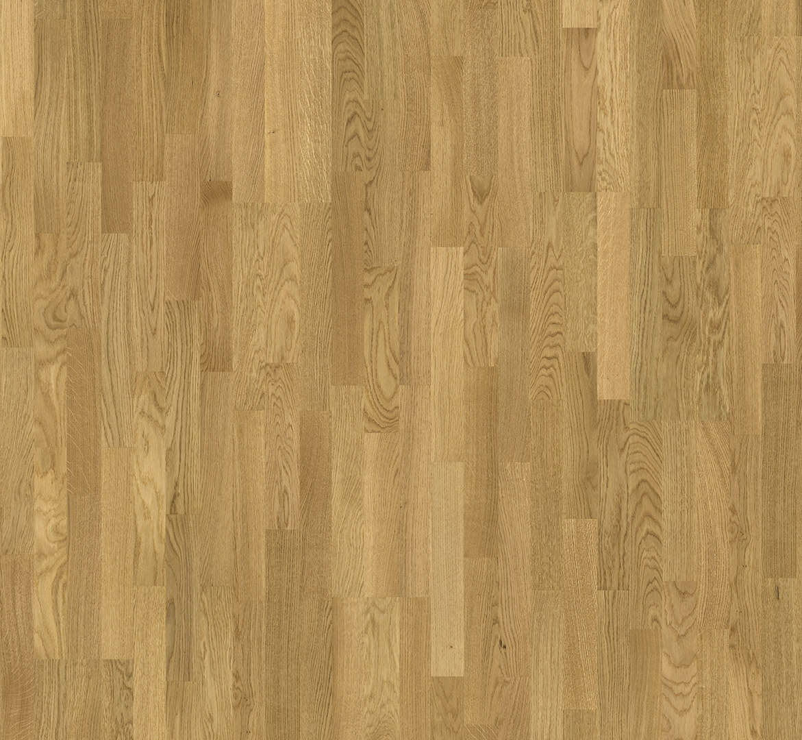 Basic 11-5 Dub 3p, natur, matný lak 1595131