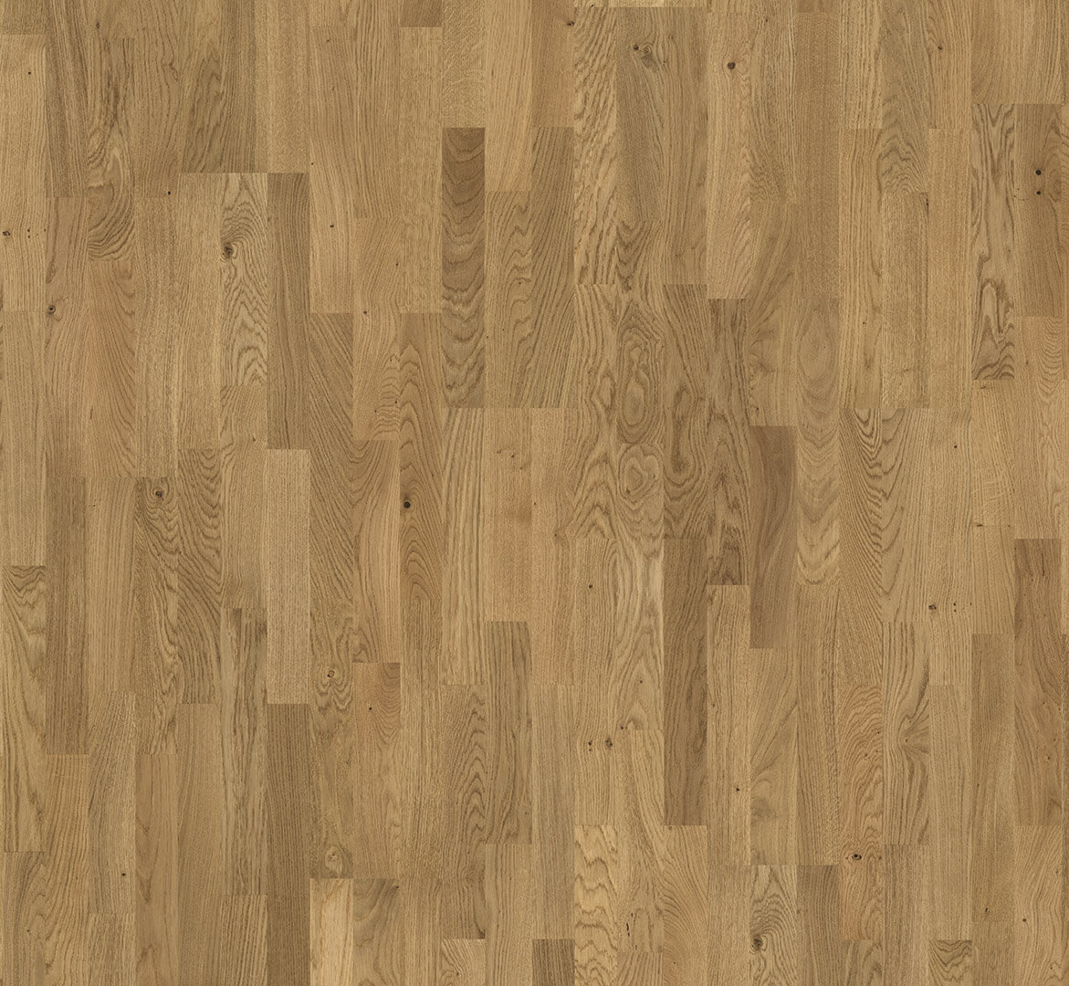 Basic 11-5 Dub sukovitý 3p, rustikal, matný lak 1518245