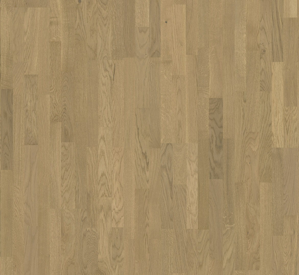 Classic 3025 Dub Malbec lehce bílený 3p, rustikal, matný bílý lak, 1748909