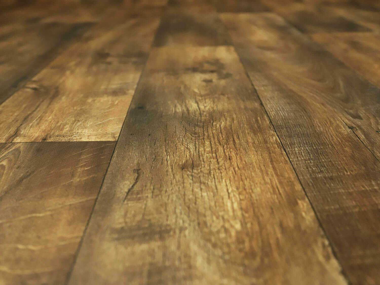 Sherwood Valley oak 664D