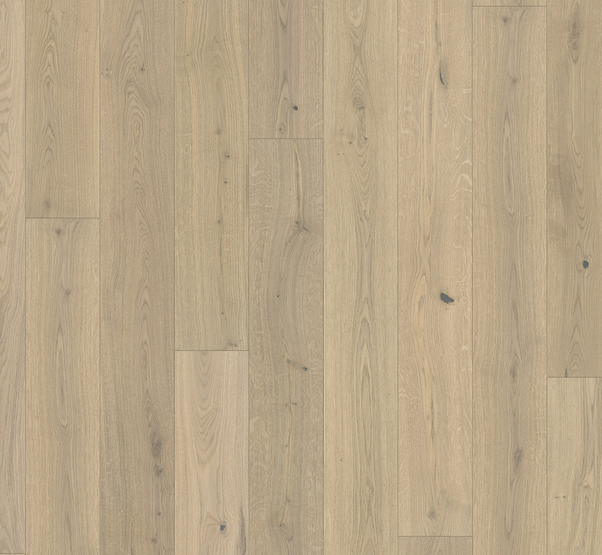 Classic 3060 Dub Soave bílý, living plus, prkno, bílý lak, 1748894