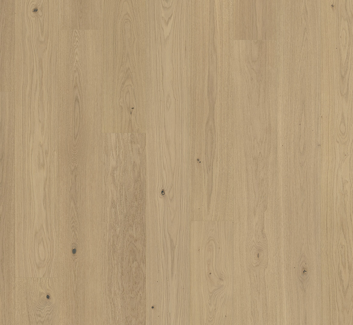 Classic 3060 Dub sanded natur, prkno, matný lak, 1744433