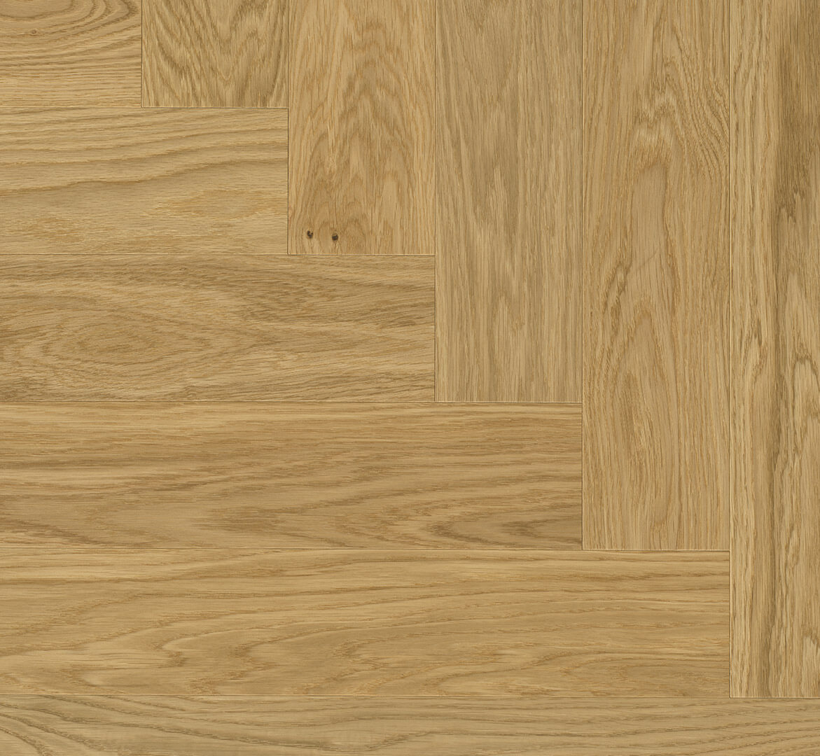 Trendtime 3 Dub Bardolino přírodní 1748884