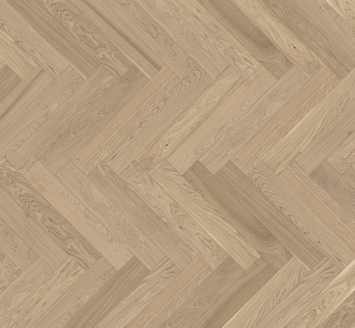 Trendtime 3 Dub Pure 1601580