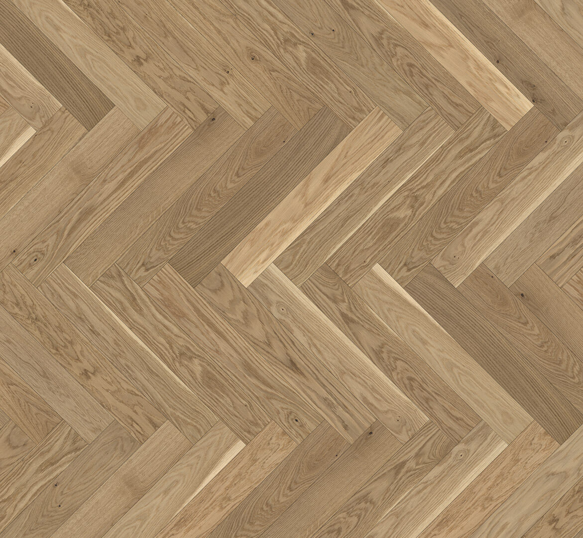 Trendtime 3 Dub cream 1739932