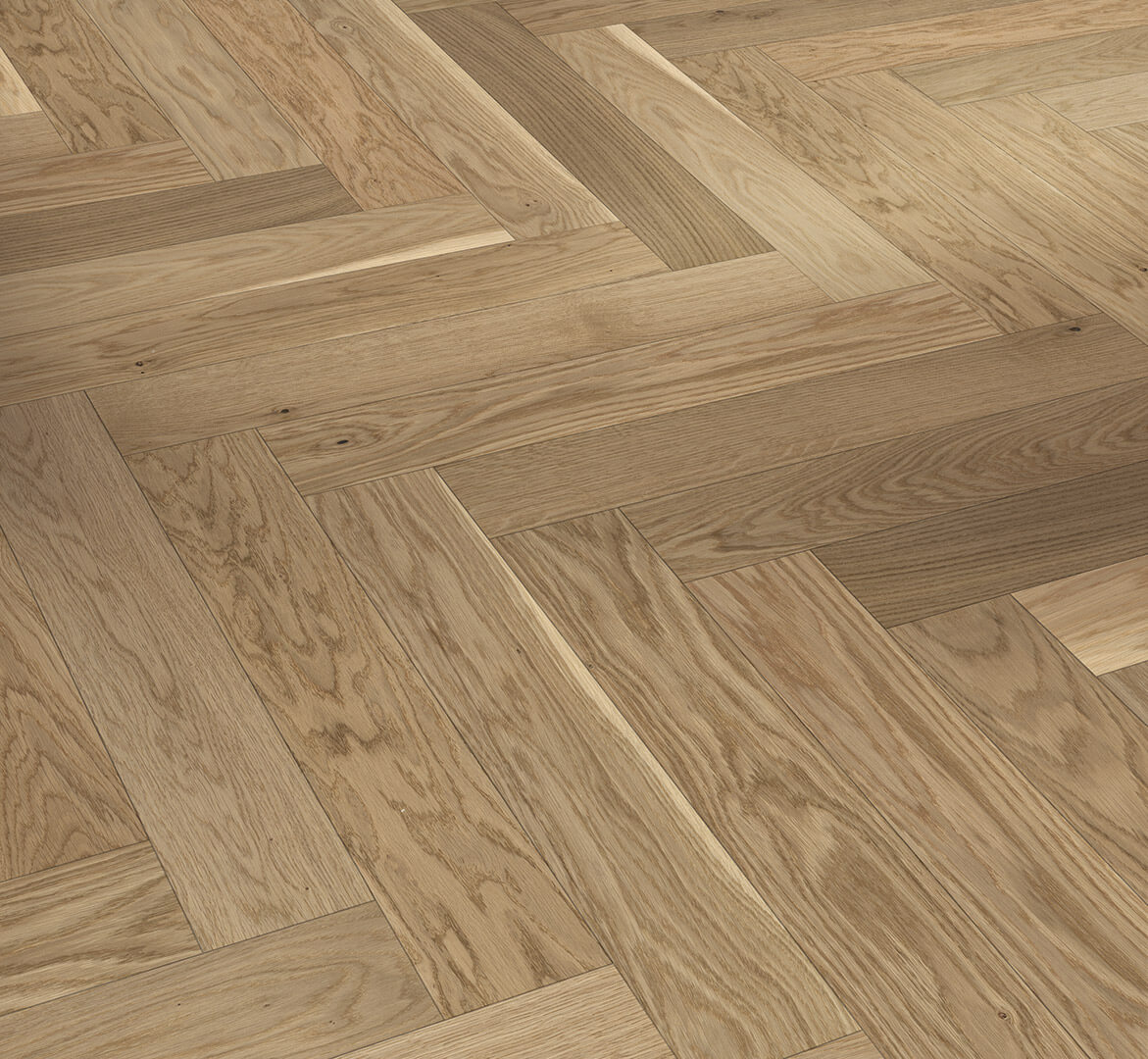 Trendtime 3 Dub cream 1739932