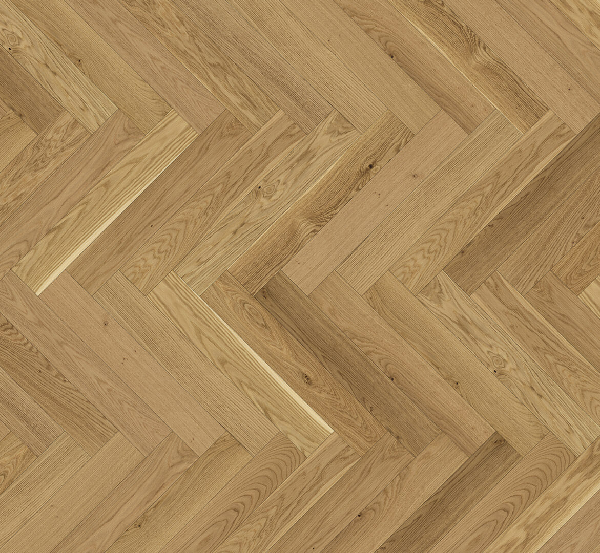 Trendtime 3 Dub, matný lak 1601582