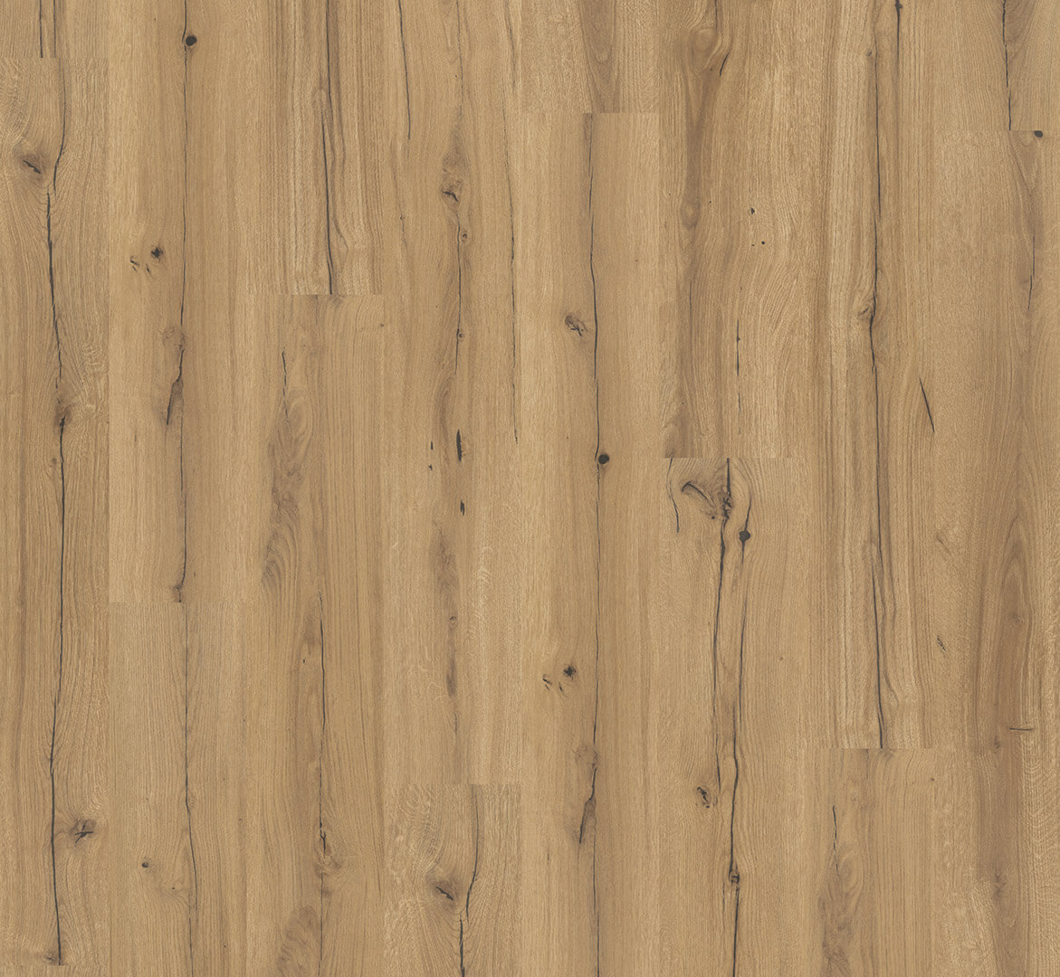 Basic 400 Dub Chronicle 1744348