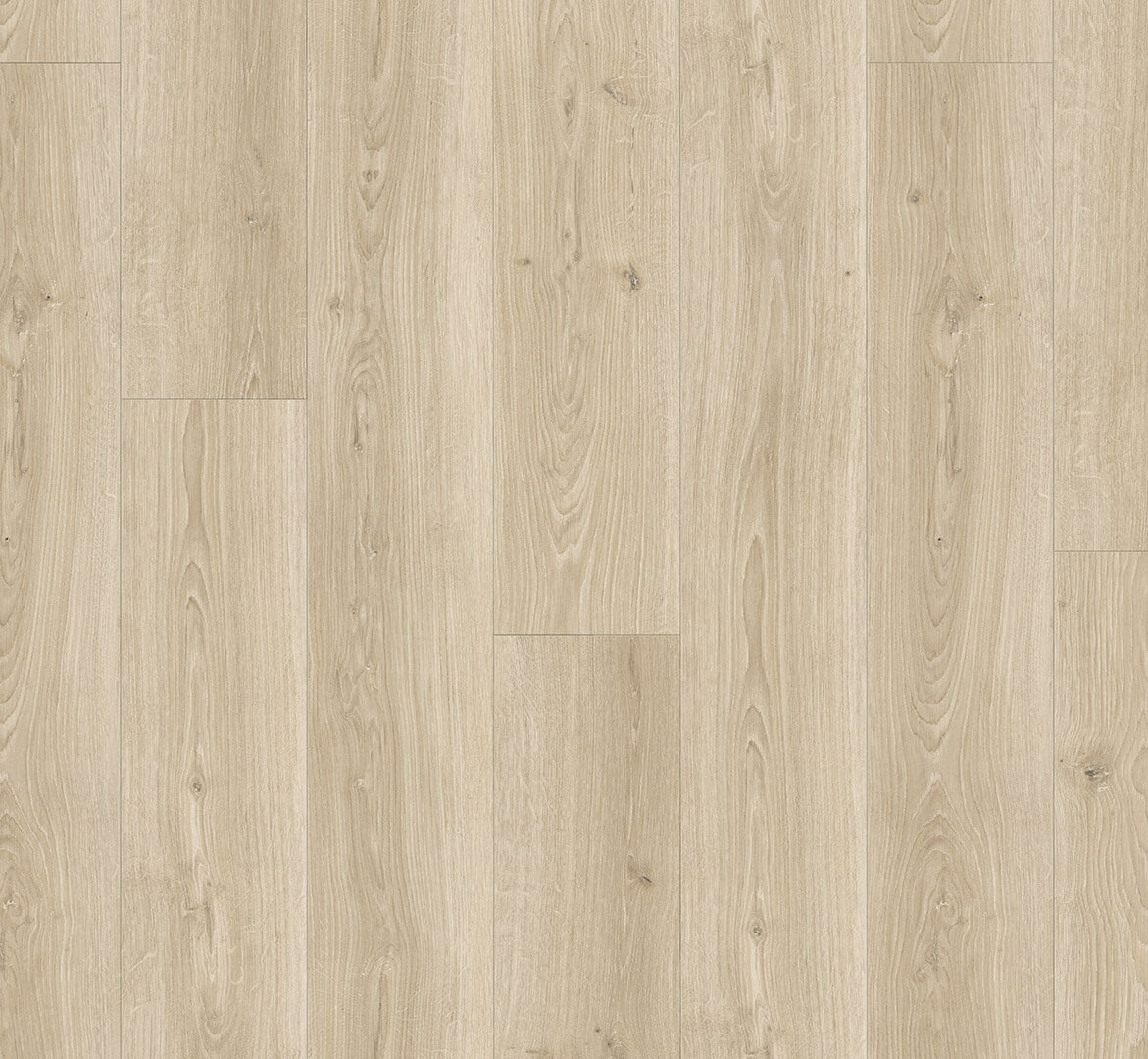 Basic 600V Dub Studioline broušený 1748190