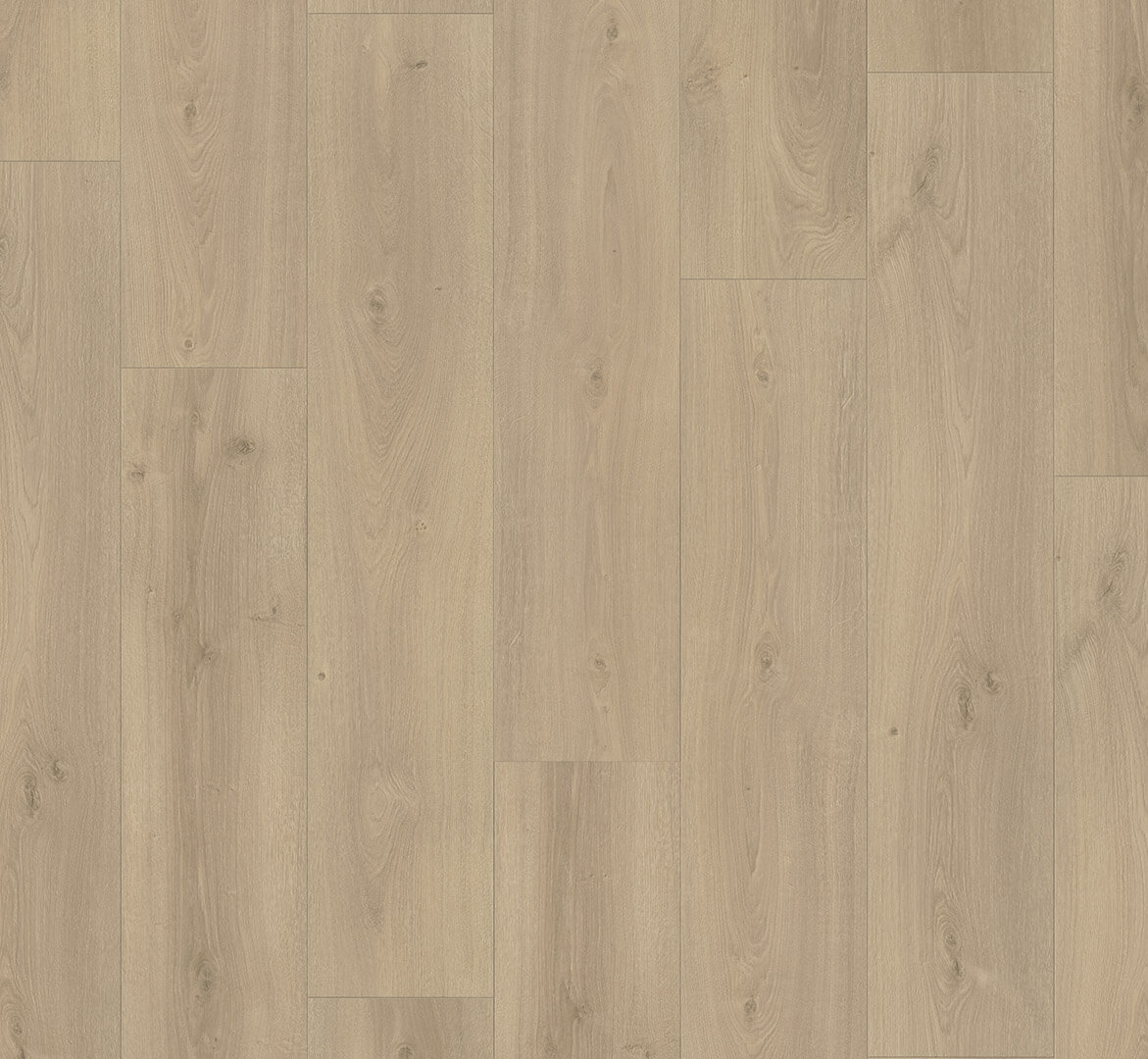 Basic 600V Dub Avant broušený 1593829