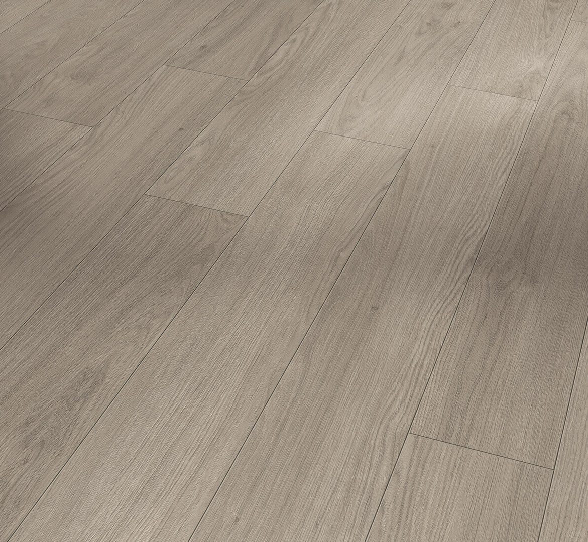 Trendtime 1 Dub Mont Blanc šedý 1748708