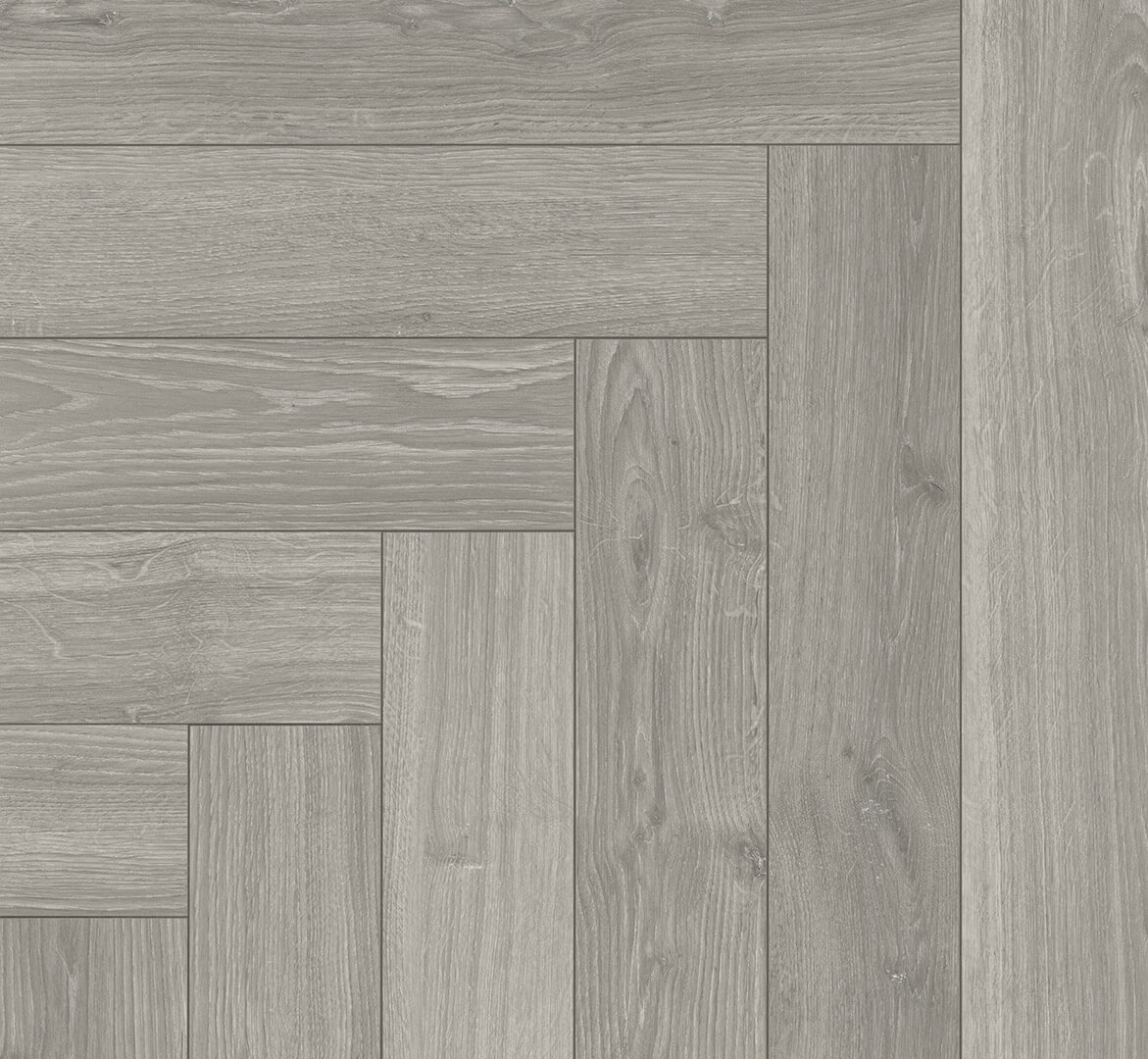 Trendtime 3 Dub Studioline šedý světlý 1747865